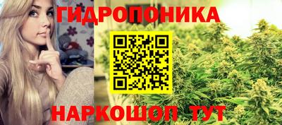 Альфа ПВП Будённовск