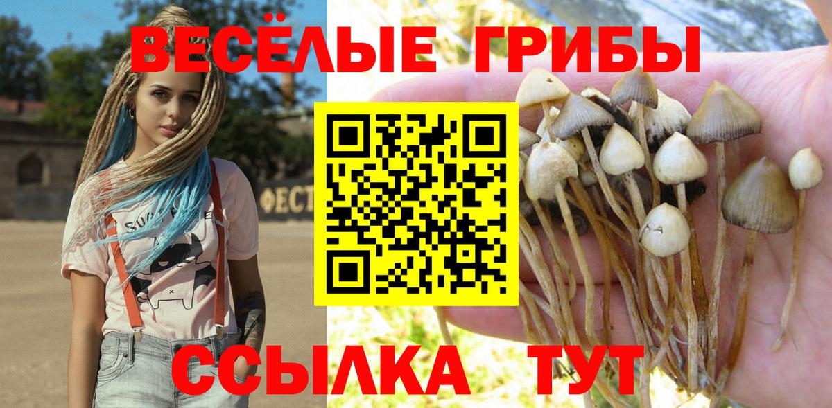Галлюциногенные грибы GOLDEN TEACHER  Вход с VPN  где купить наркоту  Псилоцибиновые грибы Cubensis  Сафоново 