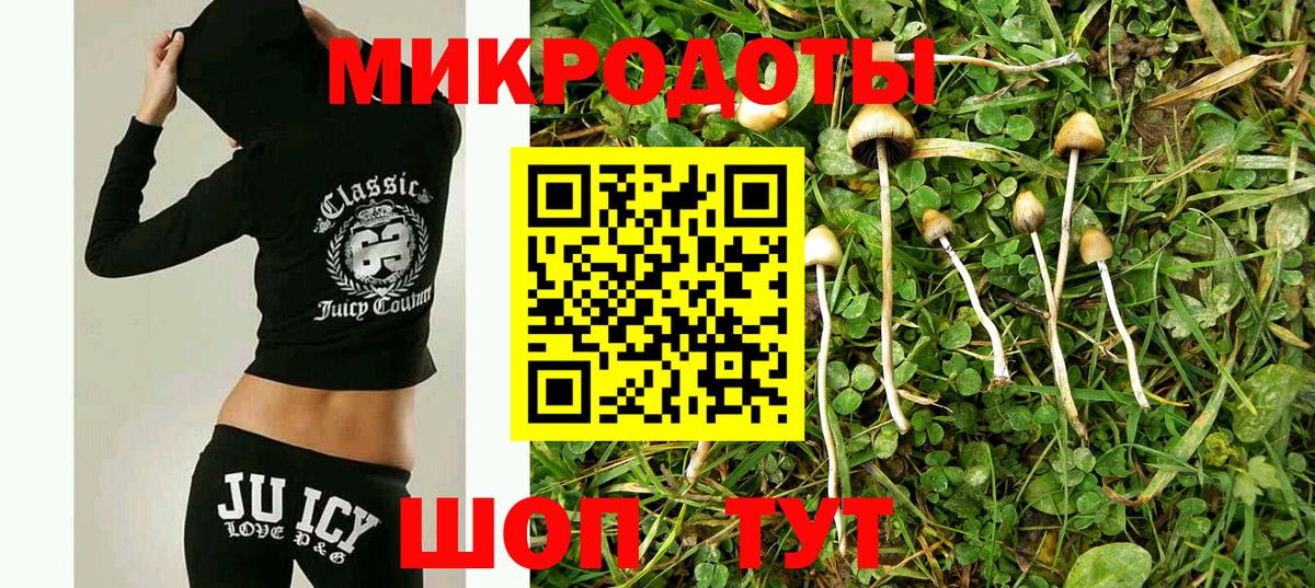 Галлюциногенные грибы Psilocybine cubensis Сафоново